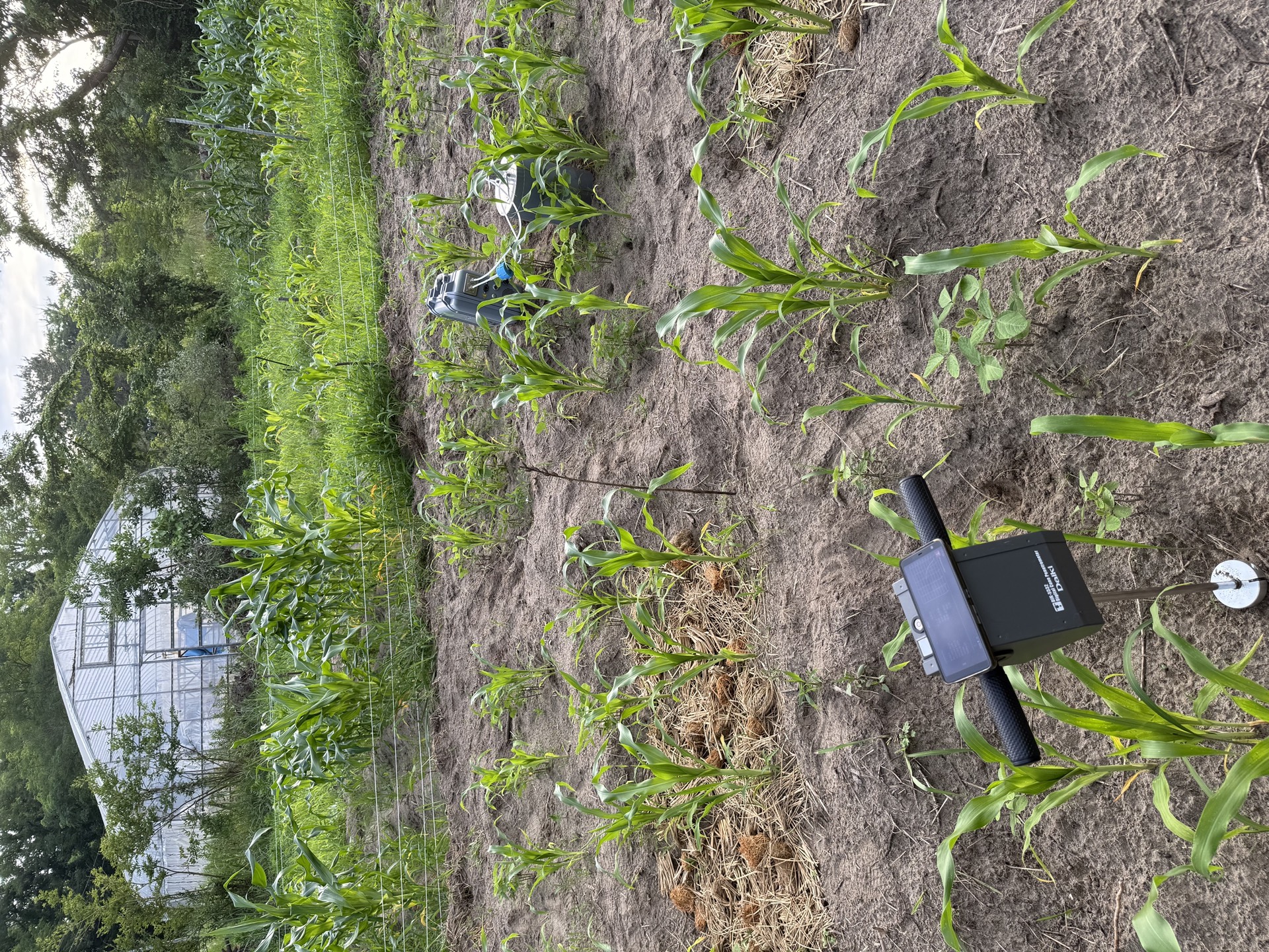 Field research photo 21